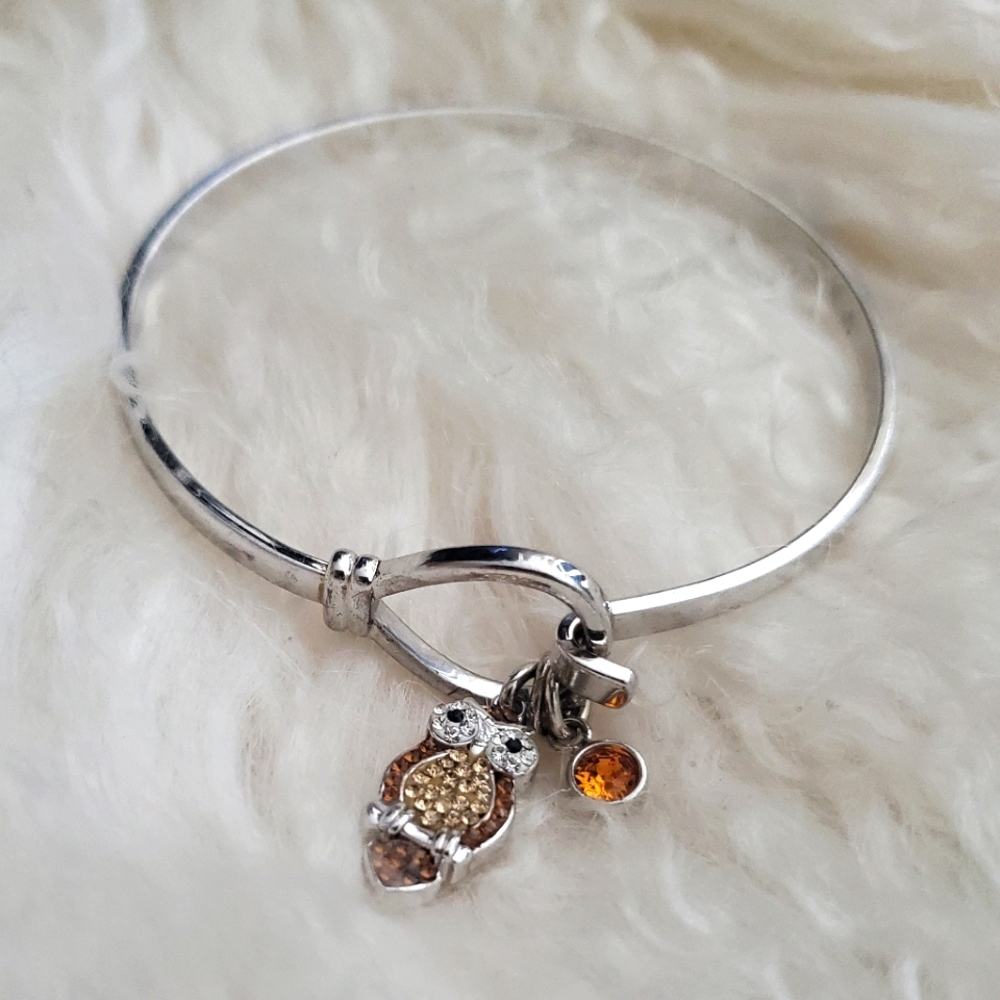 🧡Silver Owl Charm Bracelet